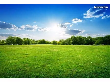 terrain 898 m² monnaie