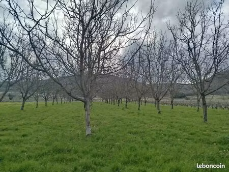 3hectars terrains douelle