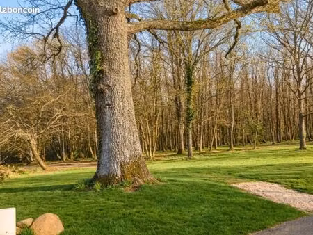 terrain 9 500 m² gourdon