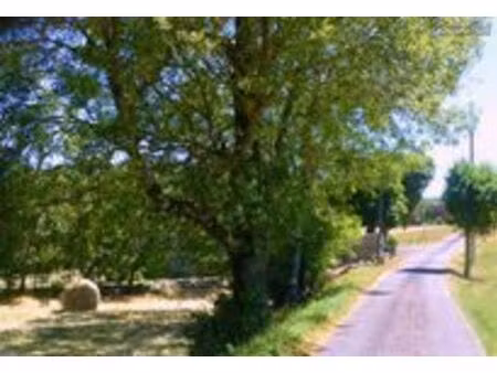 à vendre – terrain à bâtir dans un village plein de charme. saint germain du bel air 46310