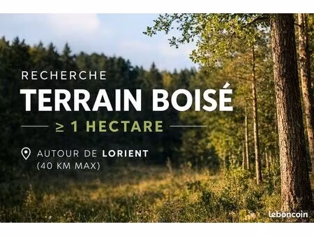 recherche terrain boisé ≥ 1 hectare autour de lorient
