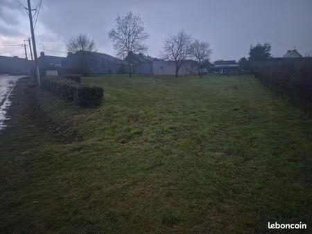 terrain constructible