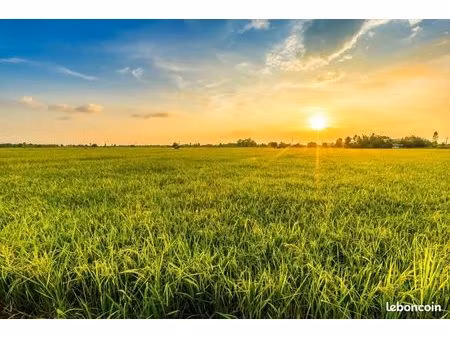 terrain 1 400 m² parcay meslay