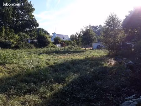 terrain constructible