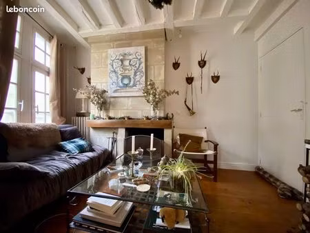 saumur – centre historique – triplex de charme avec vue loire