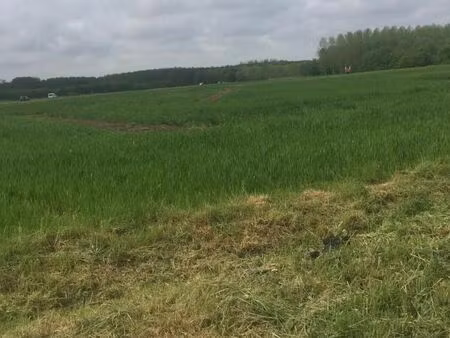 terrain 1 593 m² awoingt