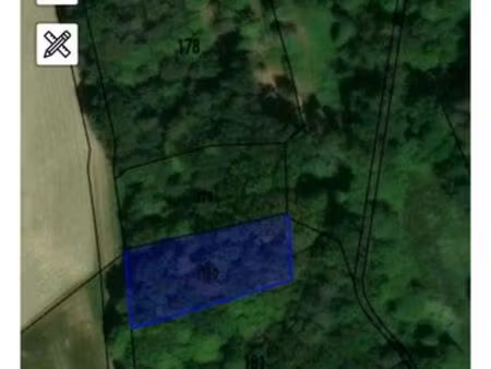 terrain/bois sur pied