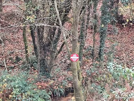 terre agricole boisé