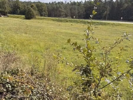 terrain 6 263 m² reyersviller