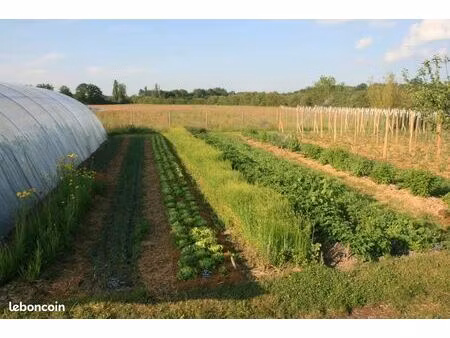 recherche urgente de terrain à louer pour projet maraîcher