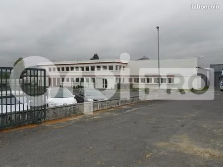 local d'activité 2 000 m²