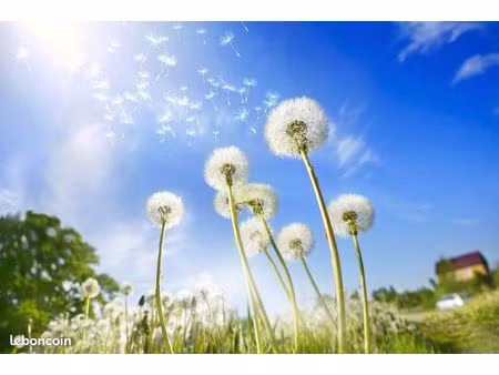 terrain 565 m² soulac sur mer