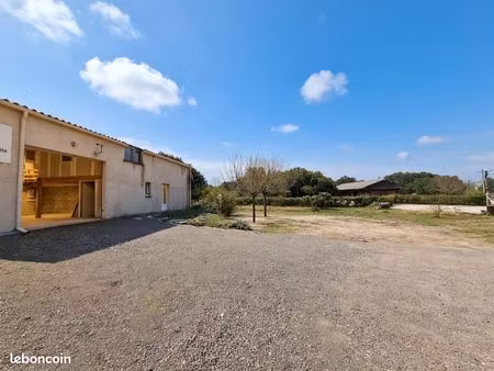 local commercial avec logement de fonction - grand pic-saint-loup - lot indissociable - 20