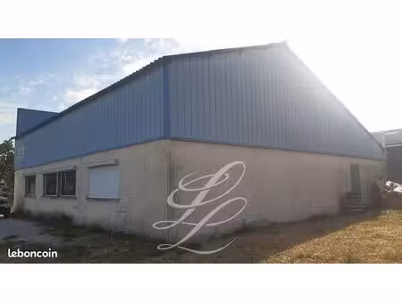 local d'activite 250 m² tours