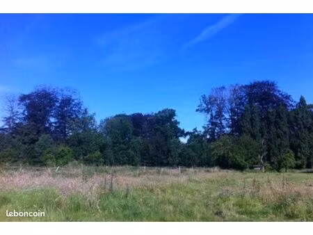 terrain 1 451 m² cantin