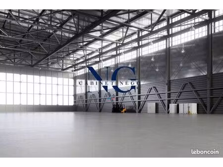 terrain 12926 m² locmine