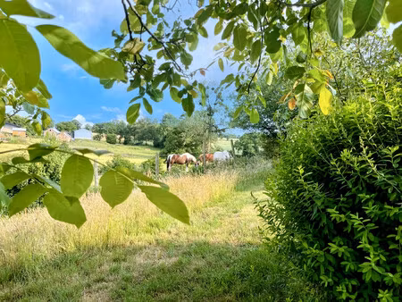 maison à vendre à trans (53160) - mayenne