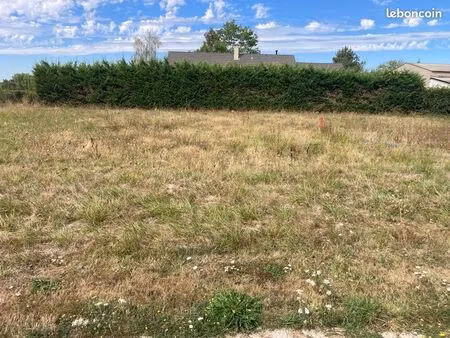 terrain constructible