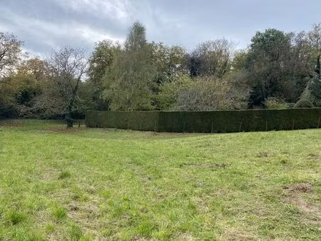 terrain 1316 m² courpière