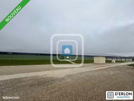 local d'activité 4 500 m²