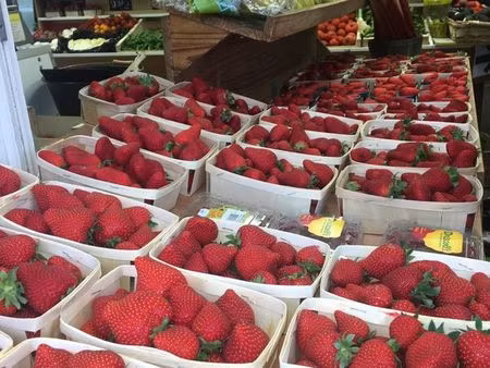 à vendre – fonds de commerce épicerie fine / charcuterie / fromage / fruits & légumes – bé