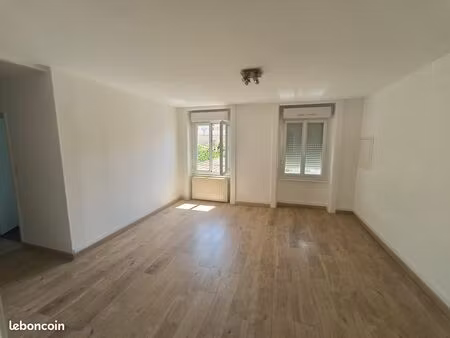 grand f3 centre-ville roche-la-molière