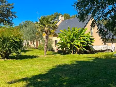 maison avec grand terrain