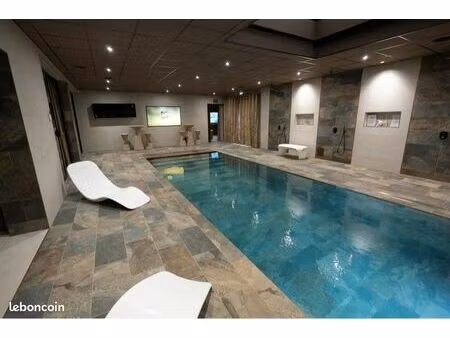 appartement avec piscine et spa privé à saint - etienne nord