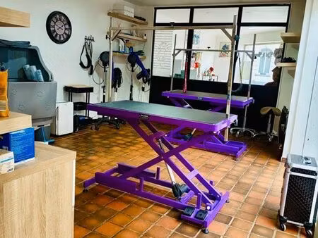 à vendre fonds de commerce salon de toilettage