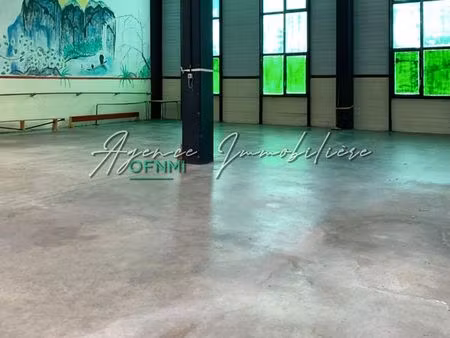 bureaux 350 m² saint-étienne