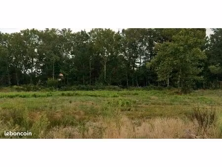 terrain 873 m² saint aubin de medoc