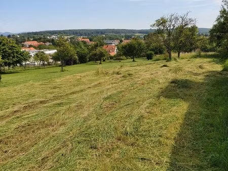 terrain constructible