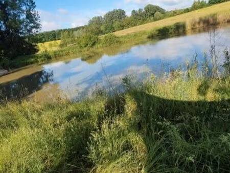 étang à vendre