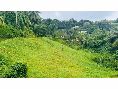 terrain à vendre d'environ 765 00 m² sainte marie (972)