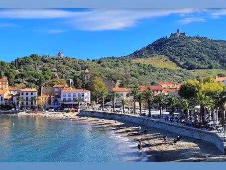 local commercial centre-ville de collioure