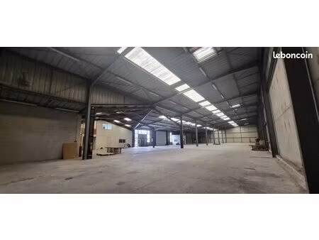 local 1600 m² vannes