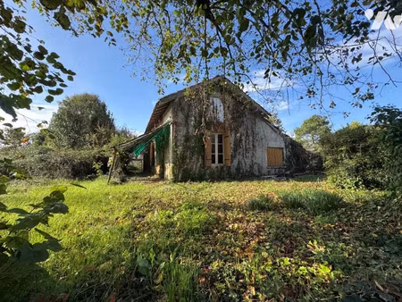 vente maison 5 pièces 82 m² sainte-livrade-sur-lot (47110)