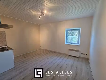 immobilière les allées