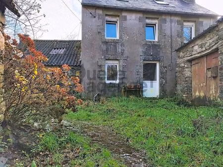 ensemble immobilier en pierre – 2 lots – monts d’arrée – fort potentiel