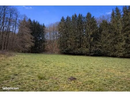 grand terrain ranrupt – lisière de forêt – 38 ares