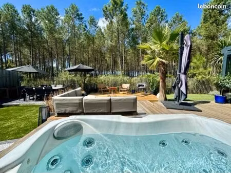 bien rare vue forêt