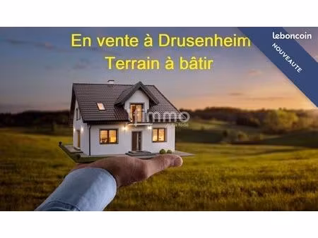 terrain 1153 m² drusenheim