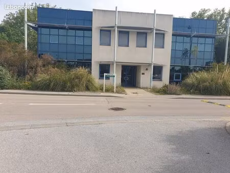 local commercial naturopole bat a