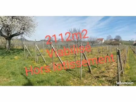 terrain constructible viabilisé