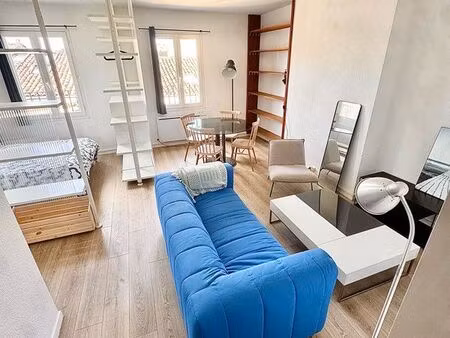 grand studio meublé 41m2 - centre ville - lumineux - rénové