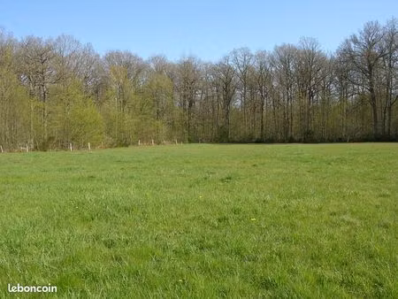 terrain agricole / herbage / pré - idéal chevaux - 7 398 m²