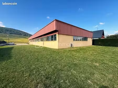 immeuble 6 pièces 610 m²
