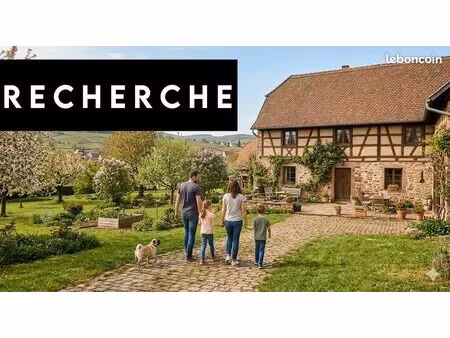particulier cherche: famille de 4 personnes et petit carlin cherchent grande maison (secte