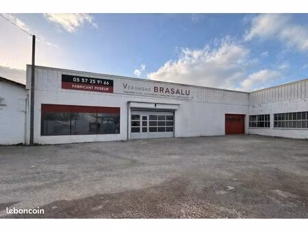 local professionnel / commercial à louer – 320 m² + mezzanine – emplacement stratégique