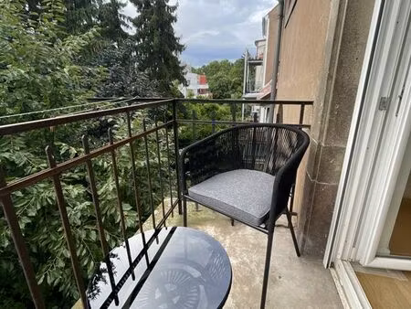 coworking : bureau lumineux + balcons & compagnie canine à cronenbourg ?